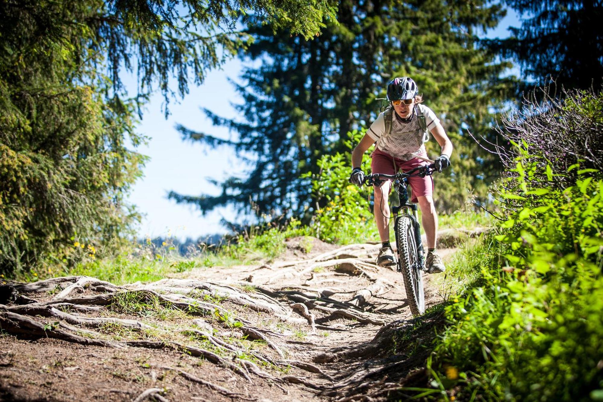 Troika 3 * Morzine